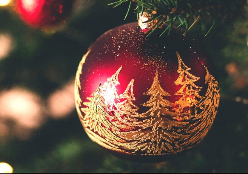 2019 TCCI Holiday Newsletter