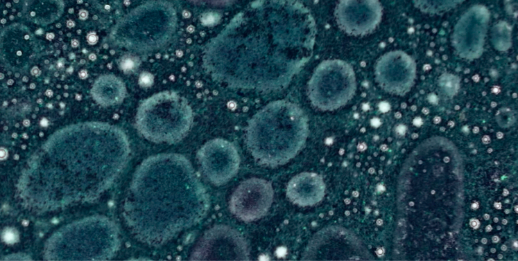 Fundamental Research