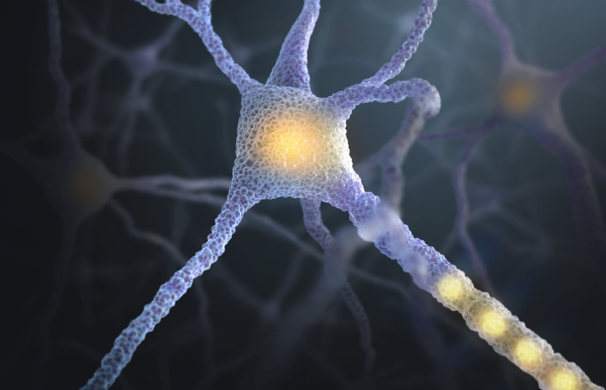 Video: Uncovering the mysteries of the mind