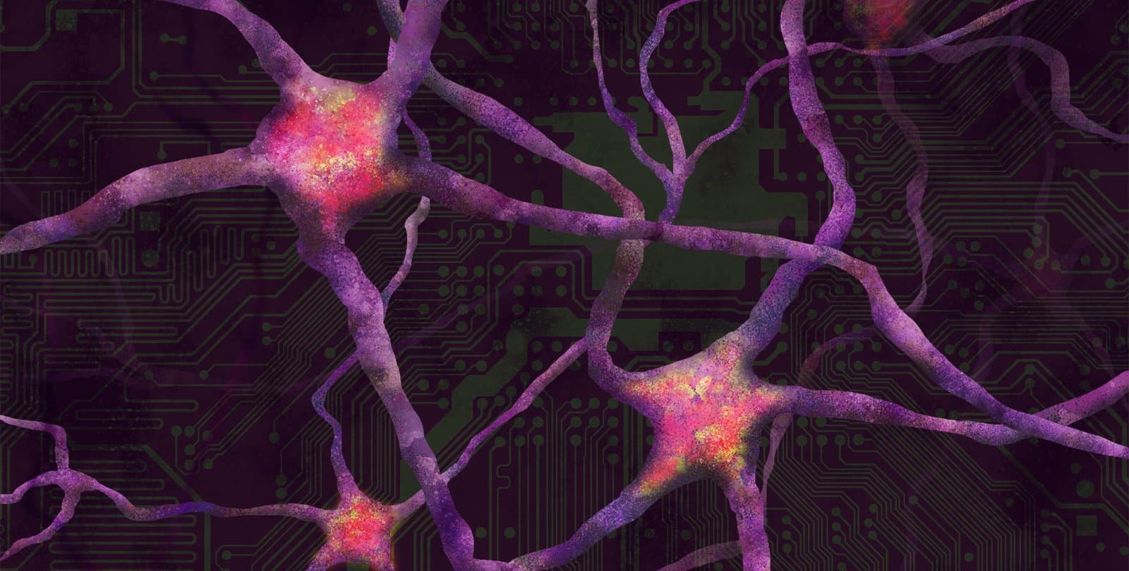 How the Brain Learns New Skills