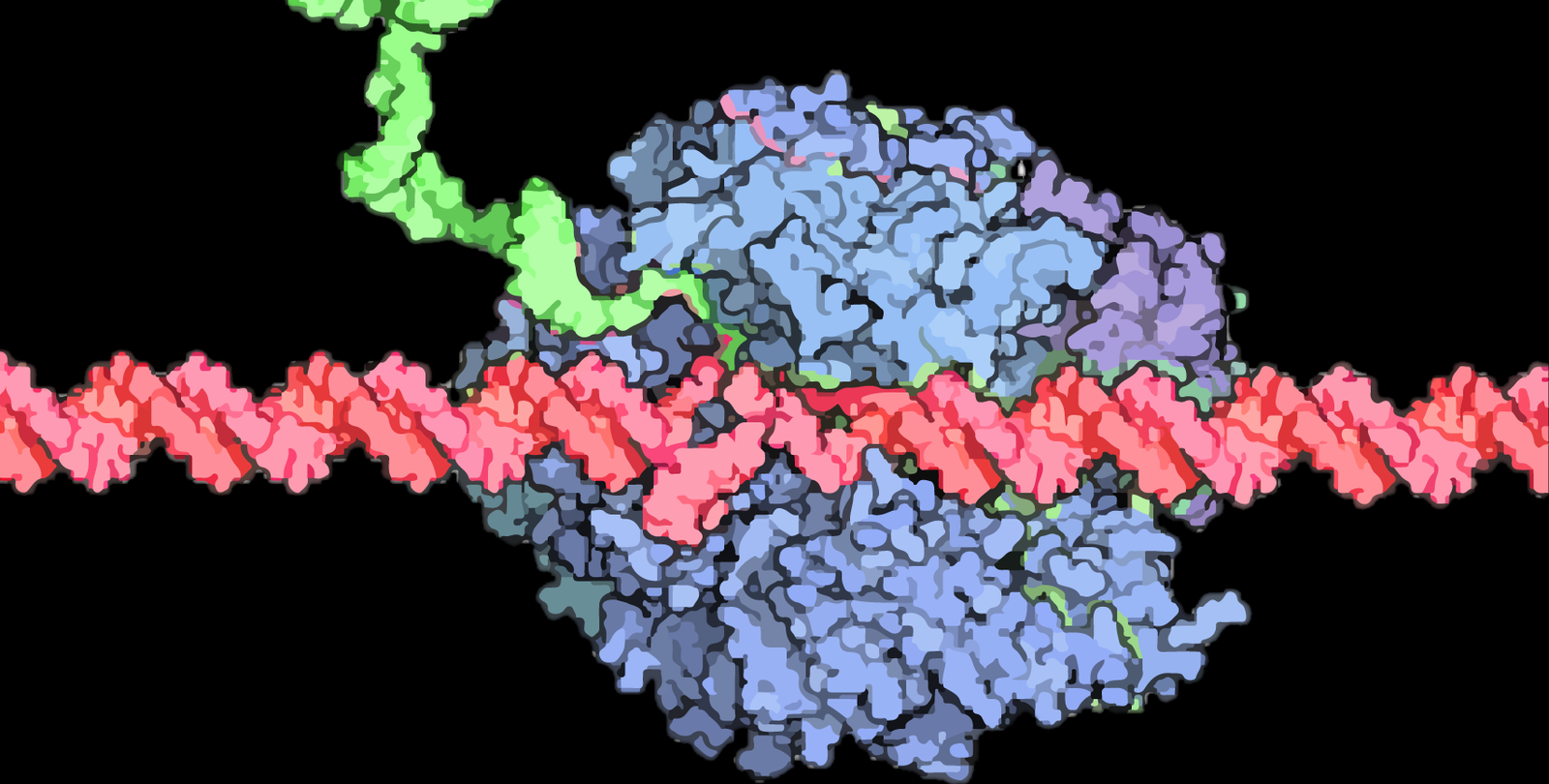 Molecular “Tails” Are Secret Ingredient for Gene Activation in Humans, Yeast, and Other Organisms
