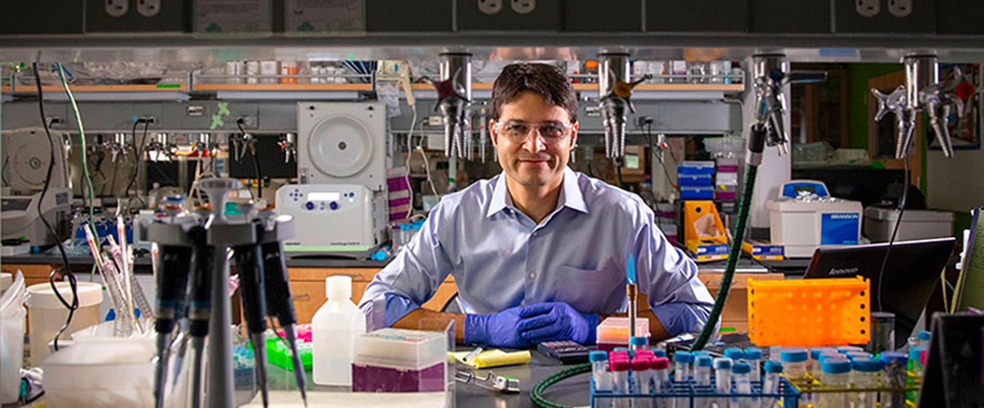 Clear Contrast: Q&A with Mikhail Shapiro, Ph.D