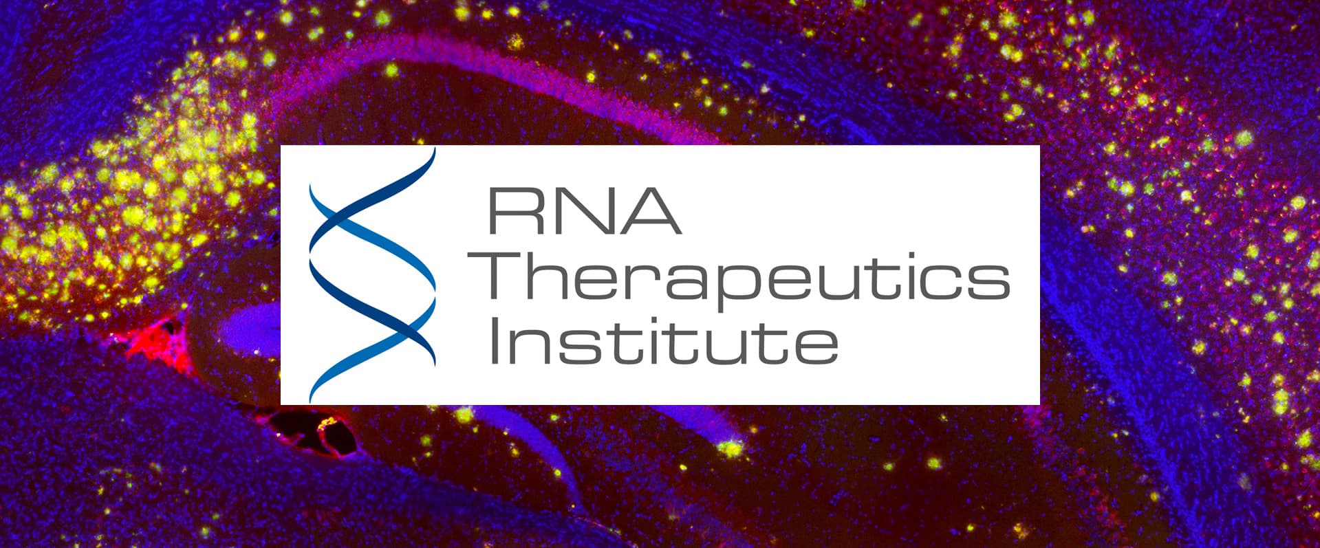 RNA Therapeutics: From Concept to Clinic