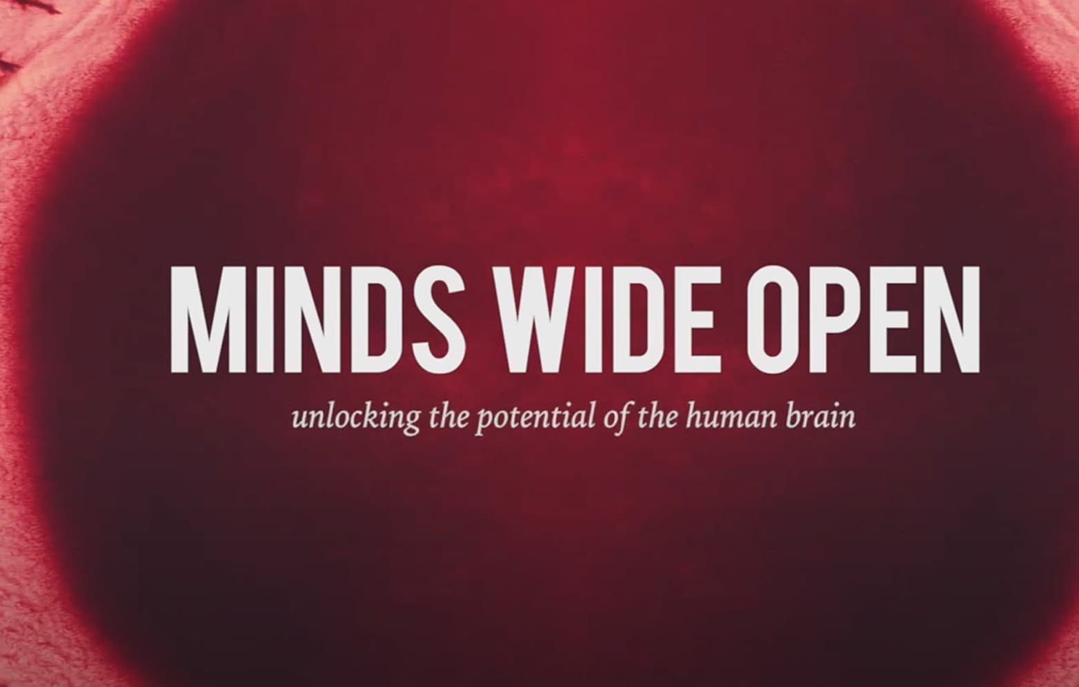 Minds Wide Open
