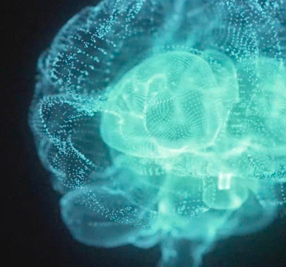 Illustration of a human brain